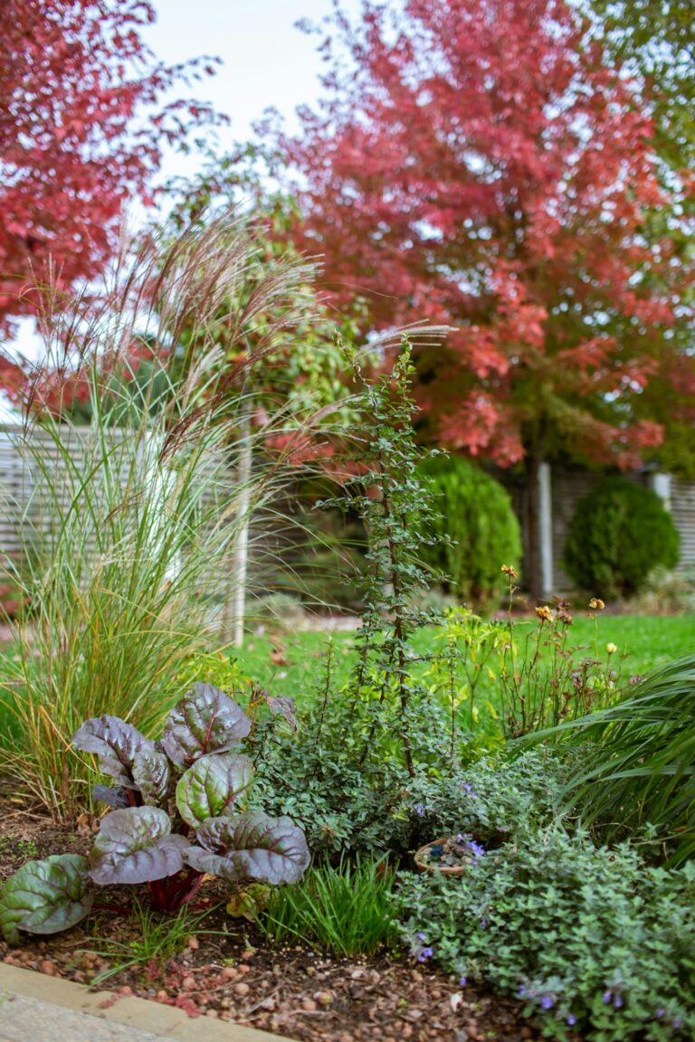 Small, well-landscaped backyard with a stone path, layered plants, and a cozy seating area under trees.